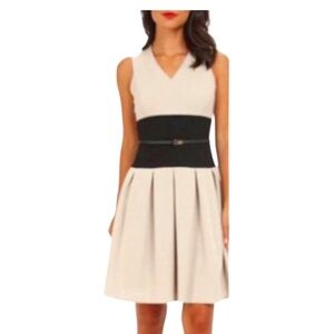 Calvin Klein Taupe and Black Dress